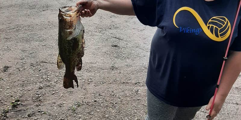 Camper submitted image from Labette County Lake Parsons Campground