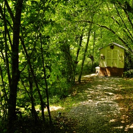 Trail to the Shower House