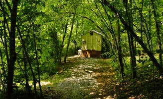 Myron C.'s photo of a cabin at Appalachian Pond Campground in North Carolina