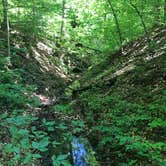 Review photo of Shades State Park Campground by Kathie M., May 31, 2021