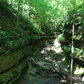 Review photo of Shades State Park Campground by Kathie M., May 31, 2021