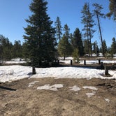 Review photo of City of Donnelly Campground by Amy S., May 31, 2021