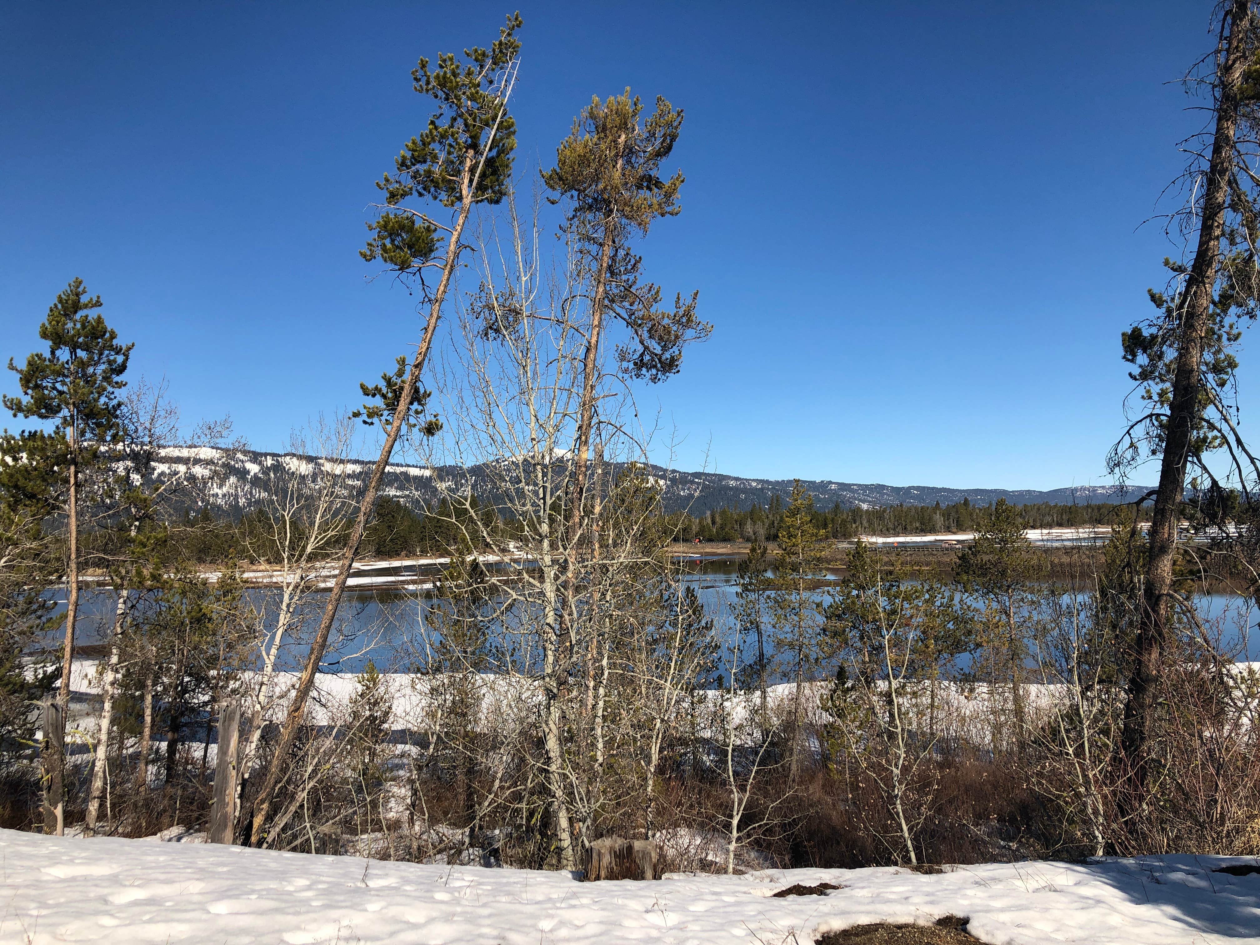 Camper submitted image from City of Donnelly Campground - 4