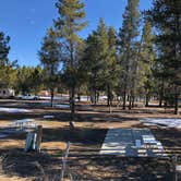 Review photo of Chalet RV Park by Amy S., June 1, 2021