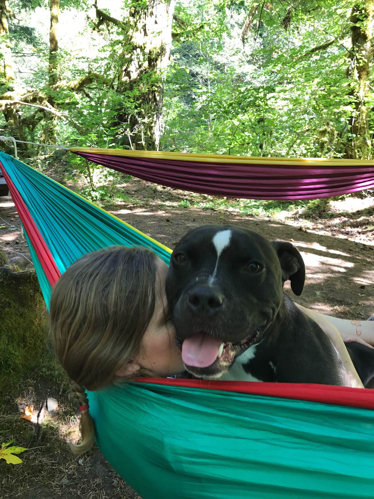Heather D.'s photo of camping with pets at Ripplebrook Campground CLOSED INDEFINITELY DUE TO FIRE near Colton, OR