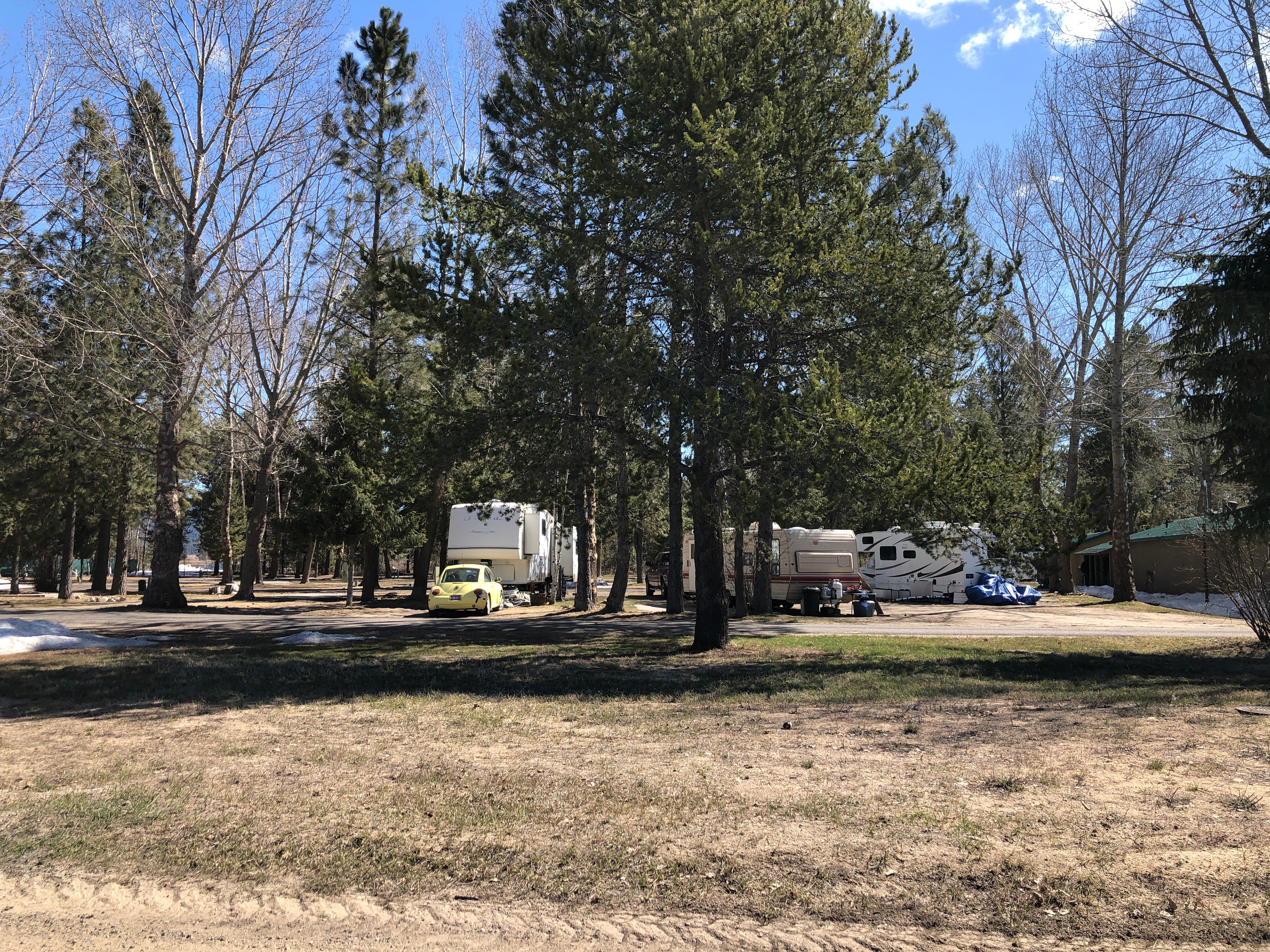 Camper submitted image from Pines RV Park - 3