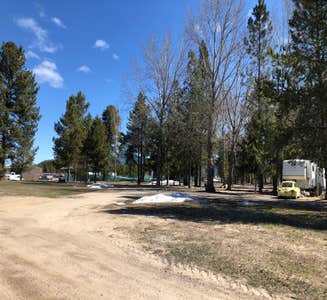 Camper-submitted photo from Pines RV Park
