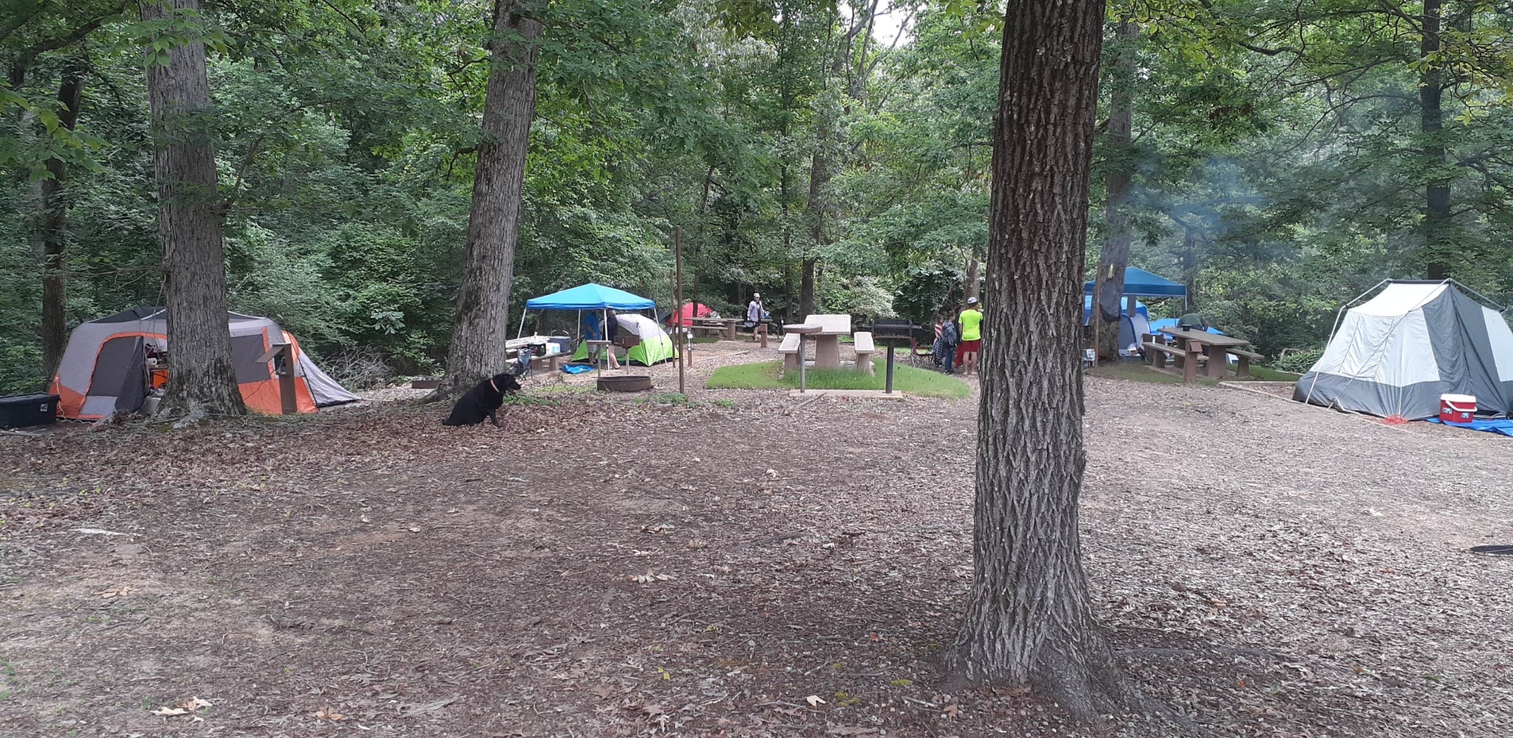 Camper submitted image from Chickasaw Hill - 2