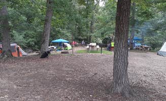 Tiffani H.'s photo at Chickasaw Hill near Sardis, MS