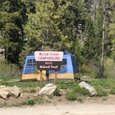 Review photo of Willow Creek Campground by Amy S., June 1, 2021