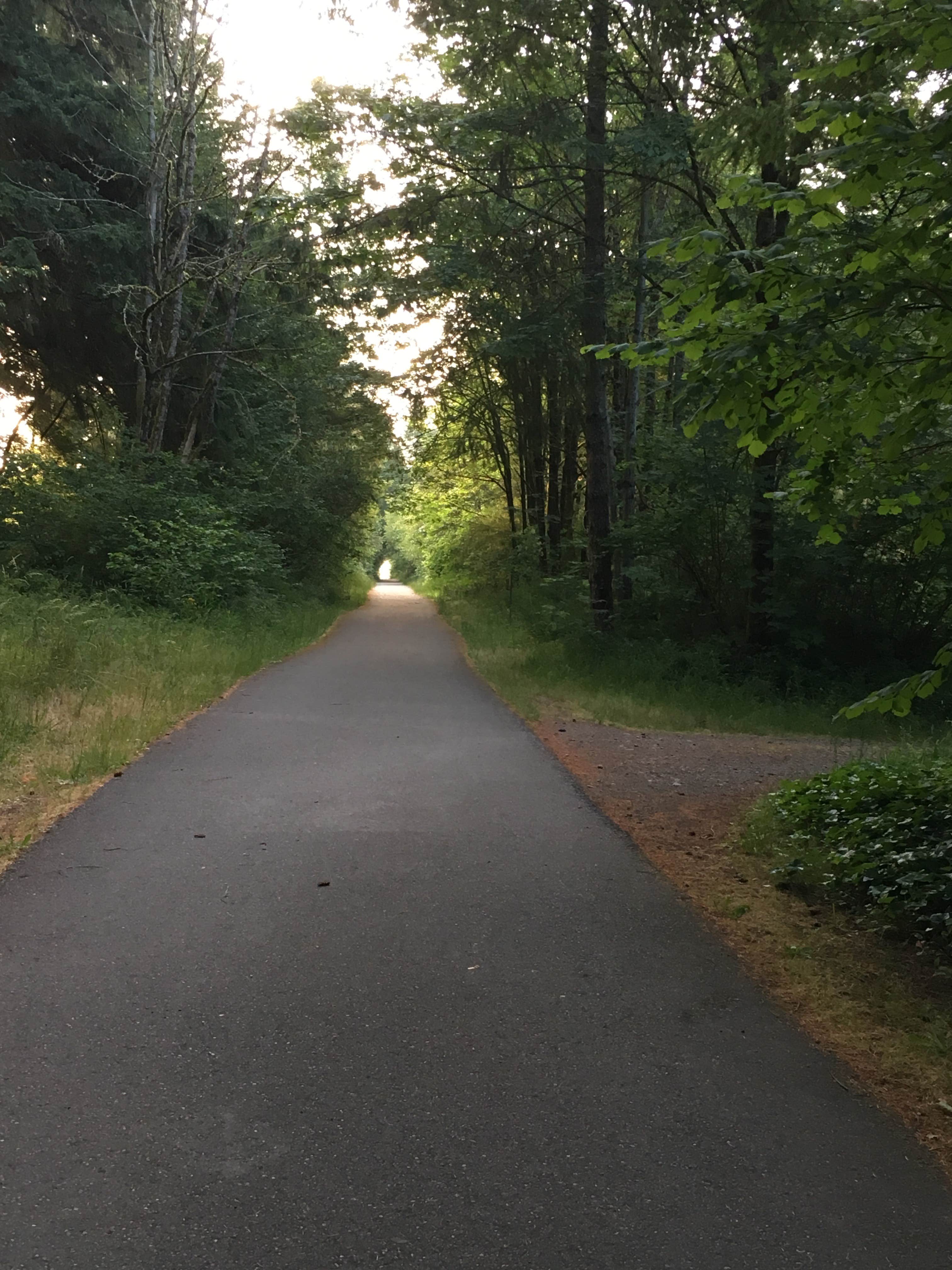 Camper submitted image from Tenino City Park - 2
