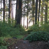 Review photo of Tenino City Park by Annie C., June 1, 2021