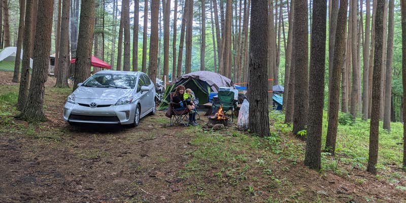 Camper submitted image from Happy Acres Resort