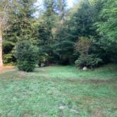 Review photo of Lost Resort at Lake Ozette — Olympic National Park by Thomas B., June 1, 2021