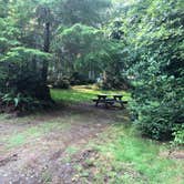 Review photo of Lost Resort at Lake Ozette — Olympic National Park by Thomas B., June 1, 2021