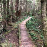 Review photo of Lost Resort at Lake Ozette — Olympic National Park by Thomas B., June 1, 2021