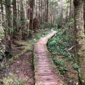 Review photo of Lost Resort at Lake Ozette — Olympic National Park by Thomas B., June 1, 2021