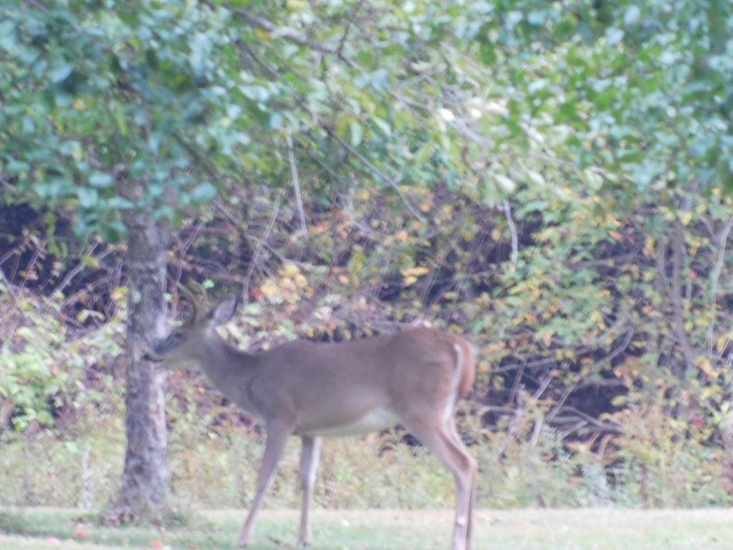 Camper submitted image from Austin Campground - 5