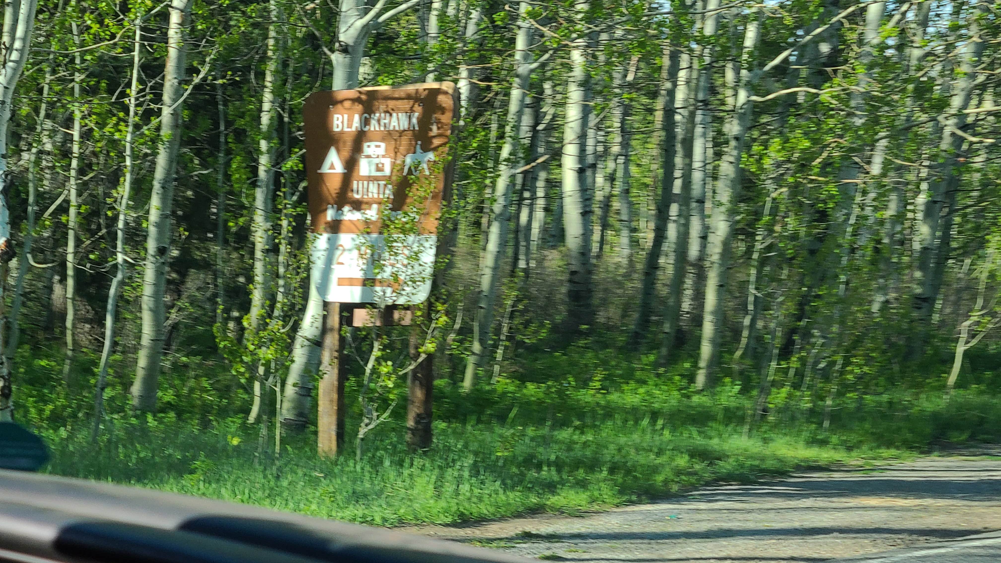 Camper submitted image from Uinta National Forest Blackhawk Campground - 3