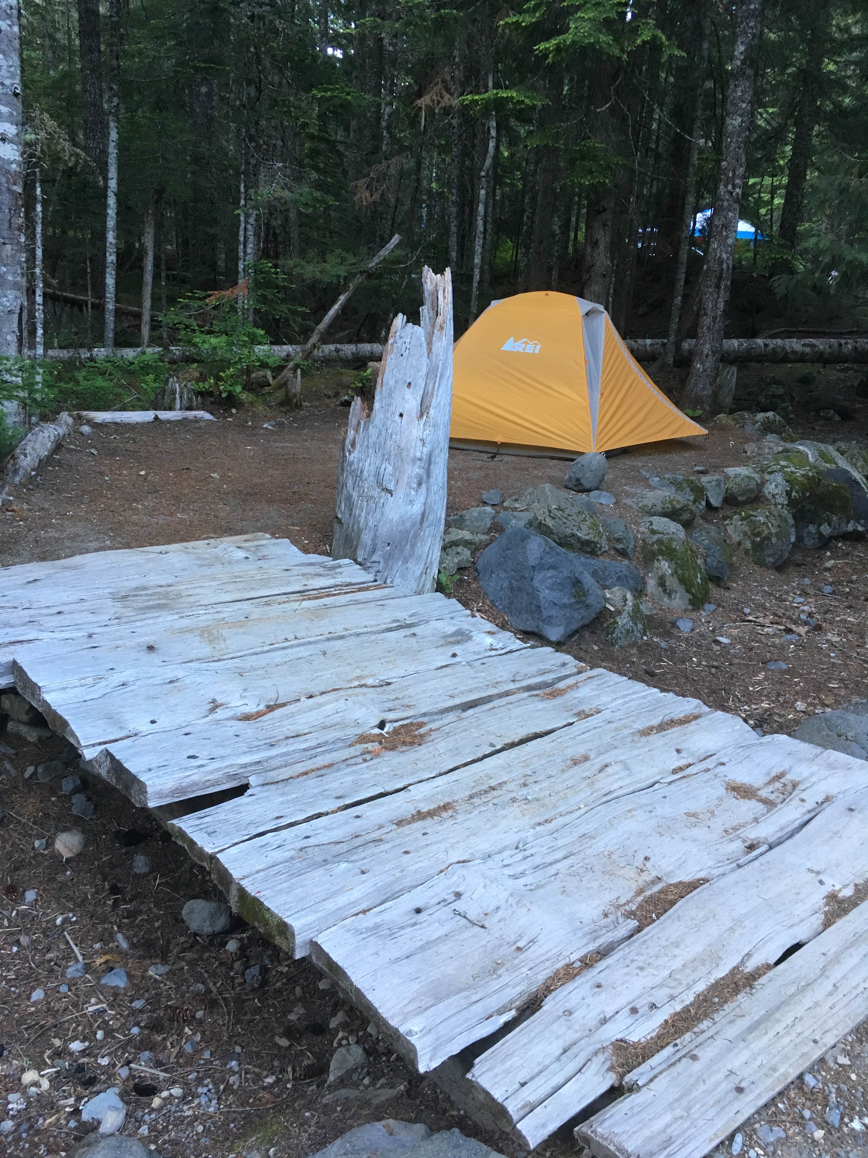 Annie C.'s photo at Cougar Rock Campground — Mount Rainier National Park near Randle, WA
