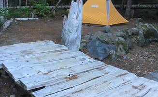Annie C.'s photo at Cougar Rock Campground — Mount Rainier National Park near Randle, WA