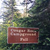 Review photo of Cougar Rock Campground — Mount Rainier National Park by Annie C., June 1, 2021