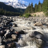 Review photo of Cougar Rock Campground — Mount Rainier National Park by Annie C., June 1, 2021