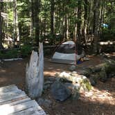 Review photo of Cougar Rock Campground — Mount Rainier National Park by Annie C., June 1, 2021