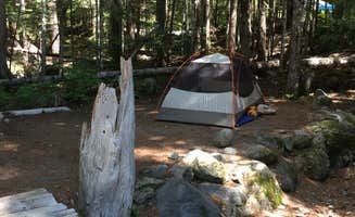 Annie C.'s photo at Cougar Rock Campground — Mount Rainier National Park near Ashford, WA