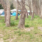 Review photo of Eagle Rock Campground by Jean C., June 1, 2021