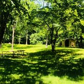 Review photo of Hoosier National Forest Jackpine Loop Campground by Shelly S., June 6, 2018