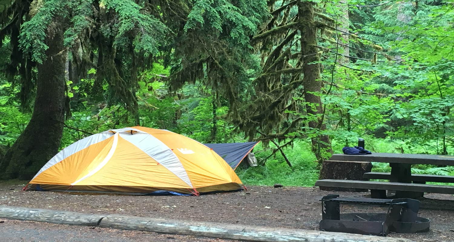 Sol Duc Hot Springs Resort Campground | The Dyrt