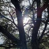 Review photo of Black Canyon Dispersed Camping by Luija S., June 1, 2021