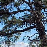 Review photo of Black Canyon Dispersed Camping by Luija S., June 1, 2021