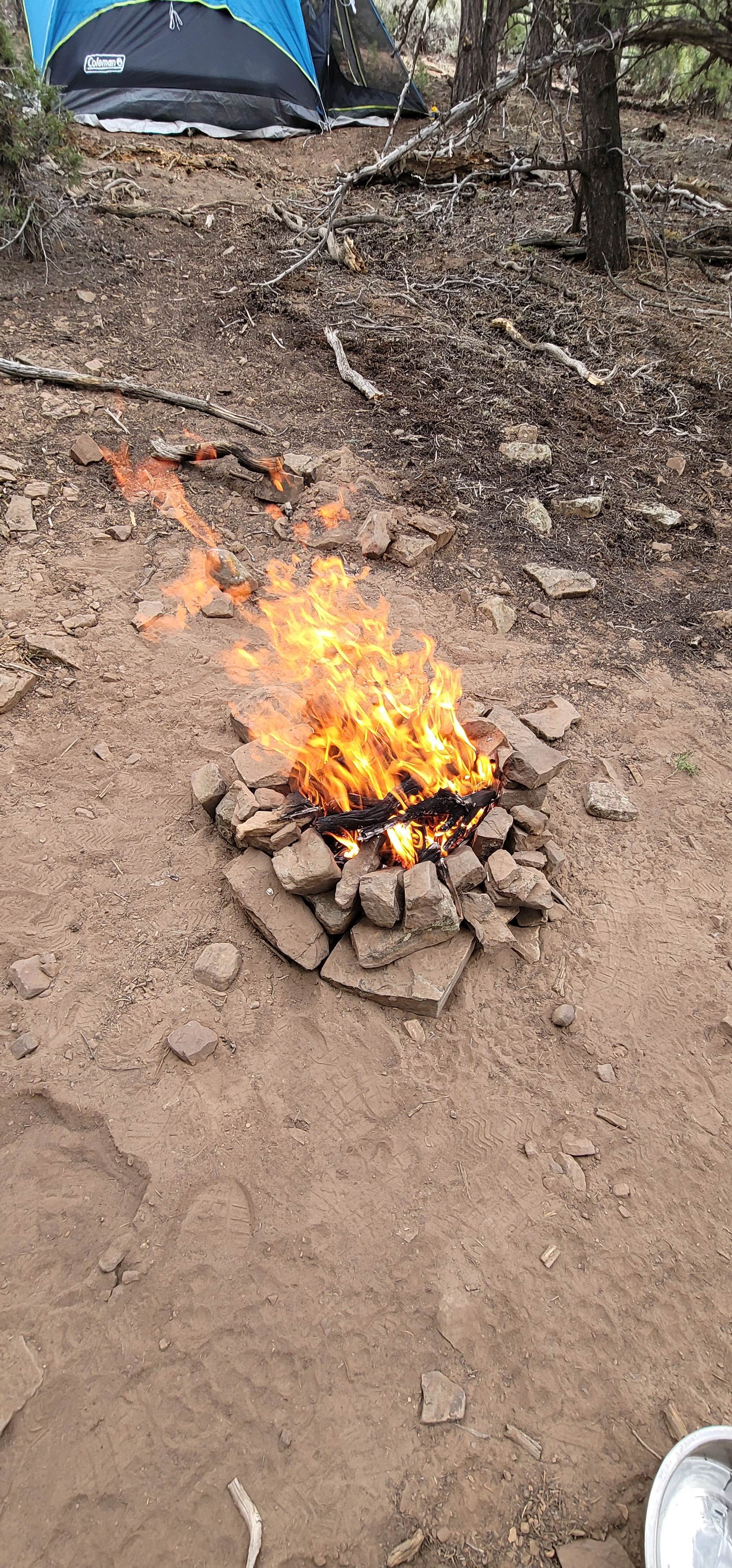 LJ S.'s photo of a dispersed camping area at Black Canyon Dispersed Camping near Gunnison, CO