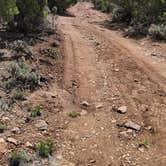 Review photo of Black Canyon Dispersed Camping by Luija S., June 1, 2021