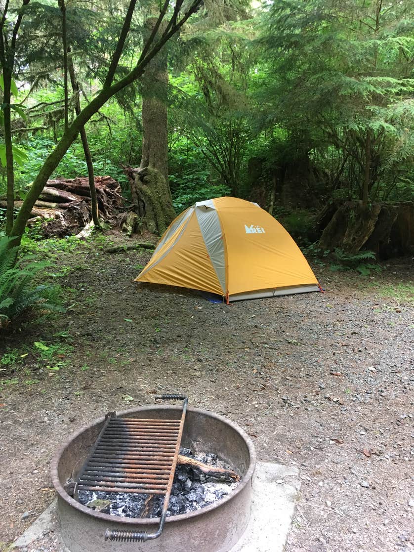 Mora Campground | The Dyrt