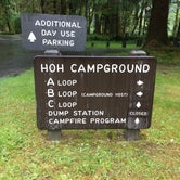 Review photo of Hoh Campground — Olympic National Park by Annie C., June 1, 2021