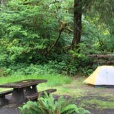 Review photo of Hoh Campground by Annie C., June 1, 2021