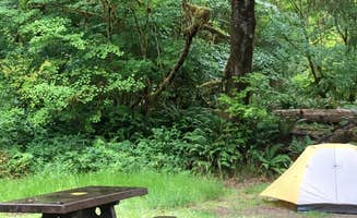 Annie C.'s photo at Hoh Campground — Olympic National Park near Olympic National Park