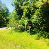 Review photo of Hoosier National Forest Jackpine Loop Campground by Shelly S., June 6, 2018