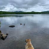 Review photo of Lewey Lake - DEC by The Other Kim K., June 1, 2021