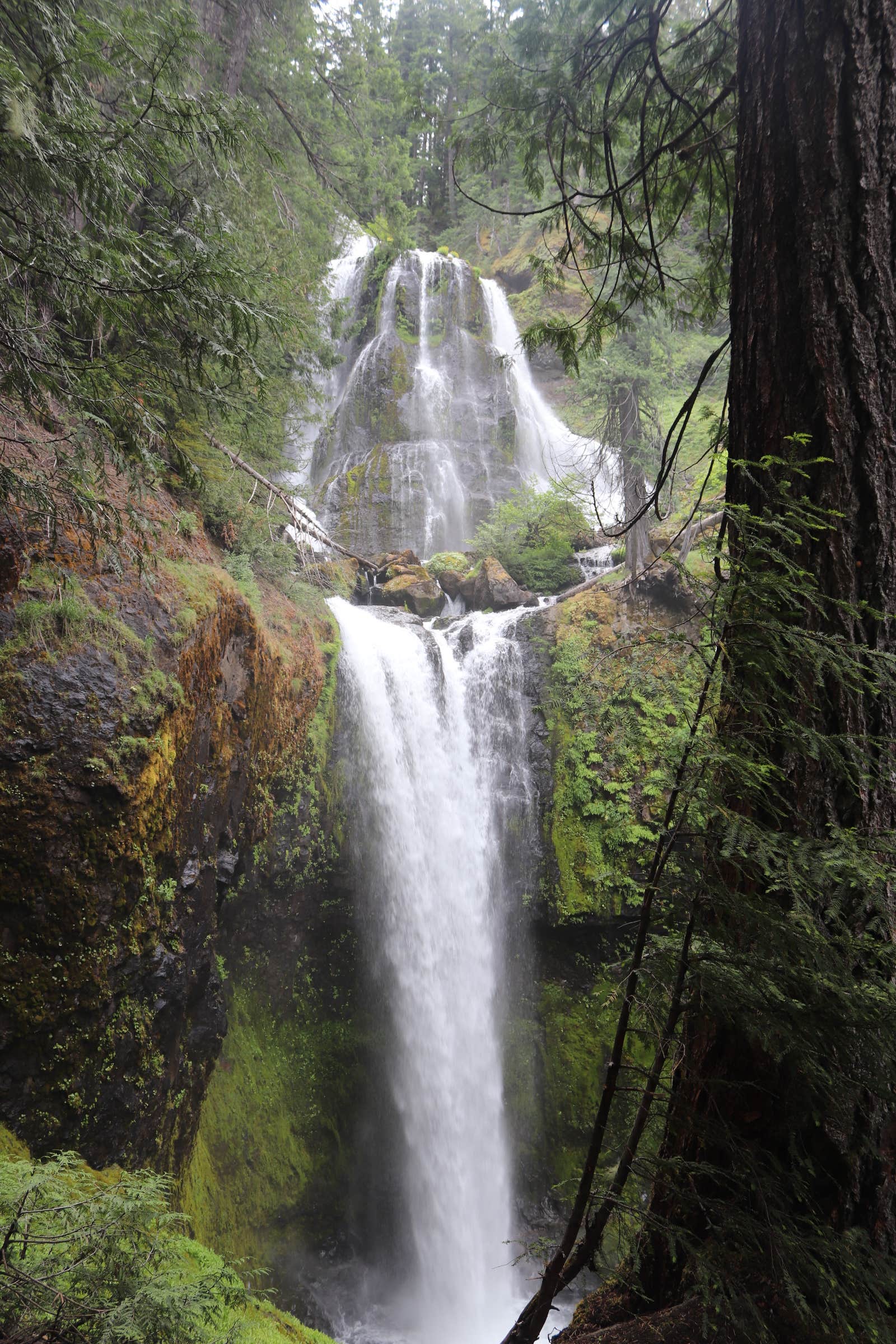 Camper submitted image from Big Cedars County Campground - 3