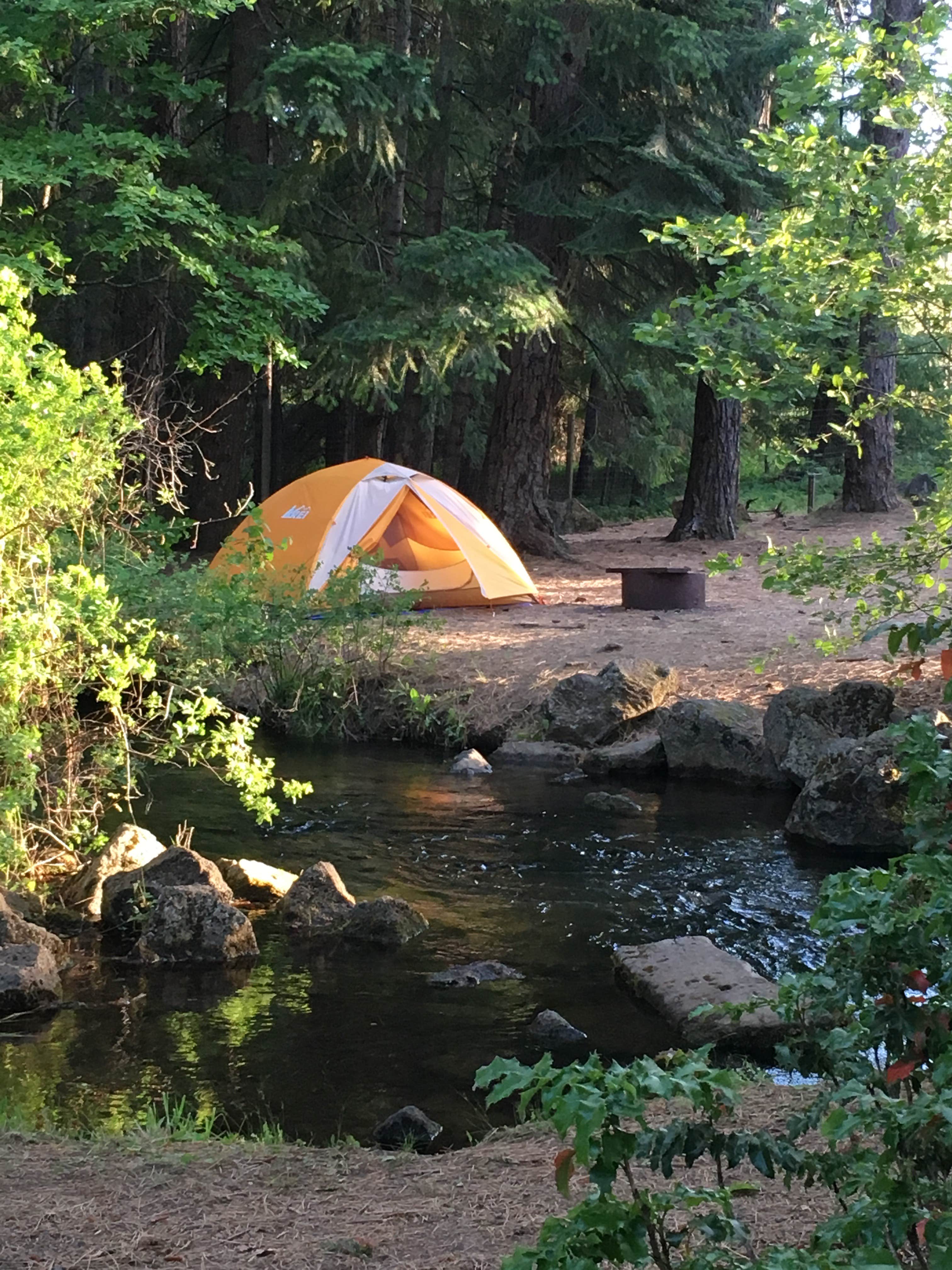 Annie C.'s photo at Big Cedars County Campground near Hood River, OR