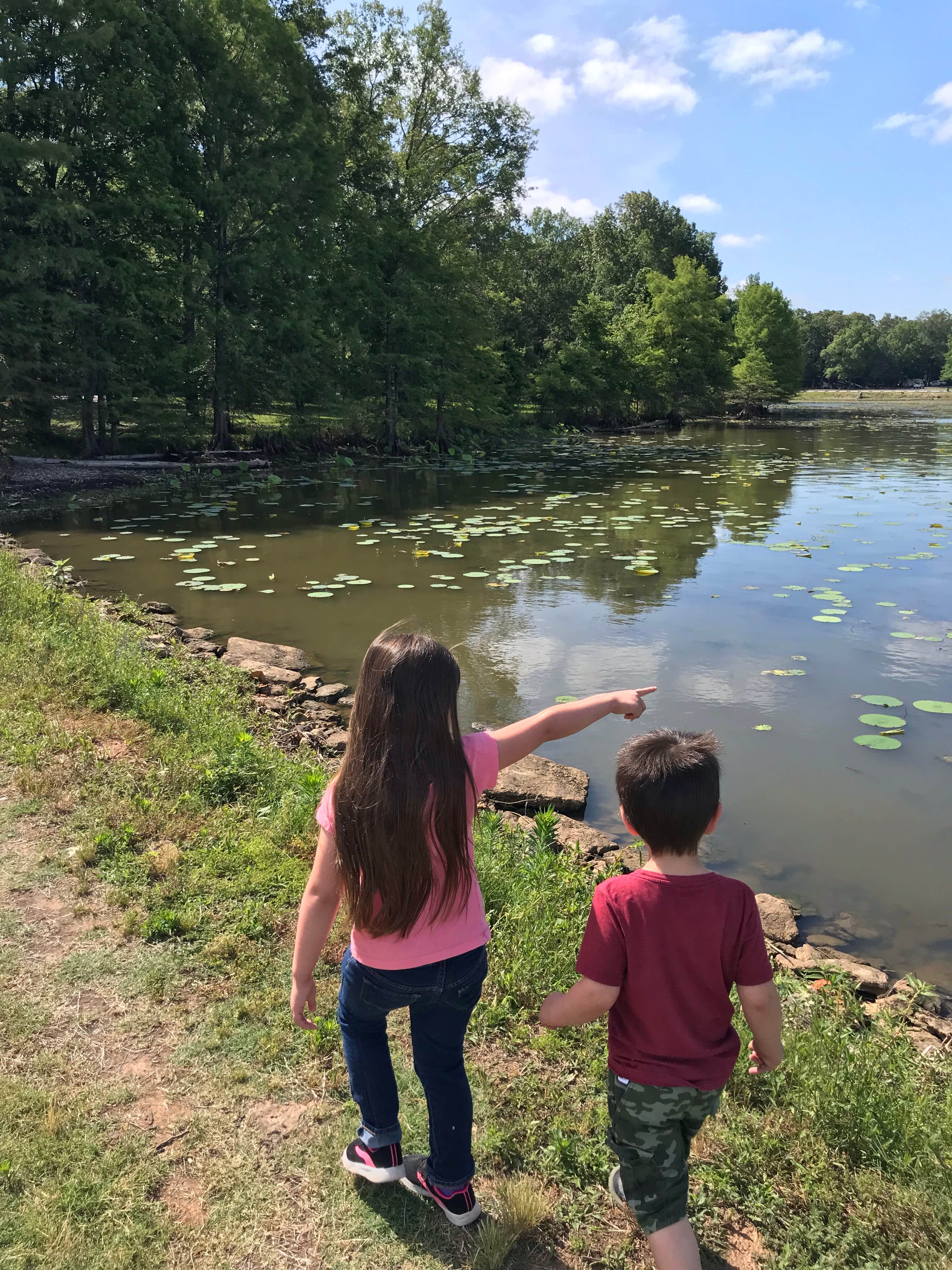 Camper submitted image from Merrisach Lake - 5