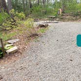 Review photo of Fancy Gap-Blue Ridge Parkway KOA by Jean C., June 1, 2021