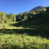 Review photo of Mt. Timpanogos by Helen A., June 6, 2018
