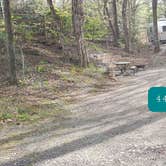 Review photo of Fancy Gap-Blue Ridge Parkway KOA by Jean C., June 1, 2021