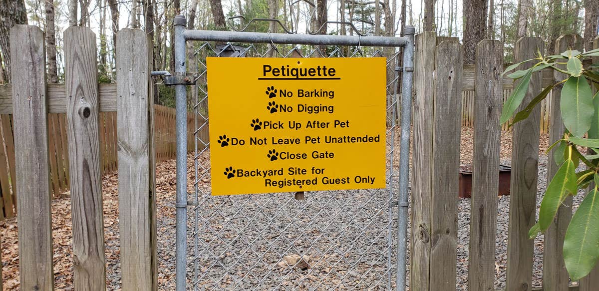 Camper submitted image from Fancy Gap-Blue Ridge Parkway KOA - 5