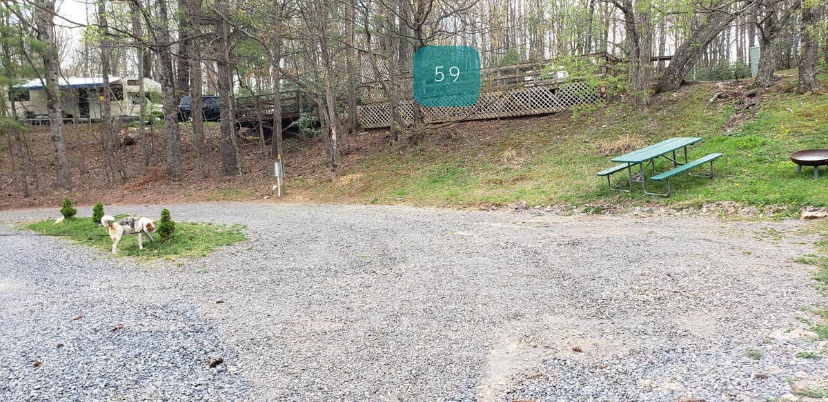 Jean C.'s photo of camping with pets at Fancy Gap-Blue Ridge Parkway KOA near Cana, VA